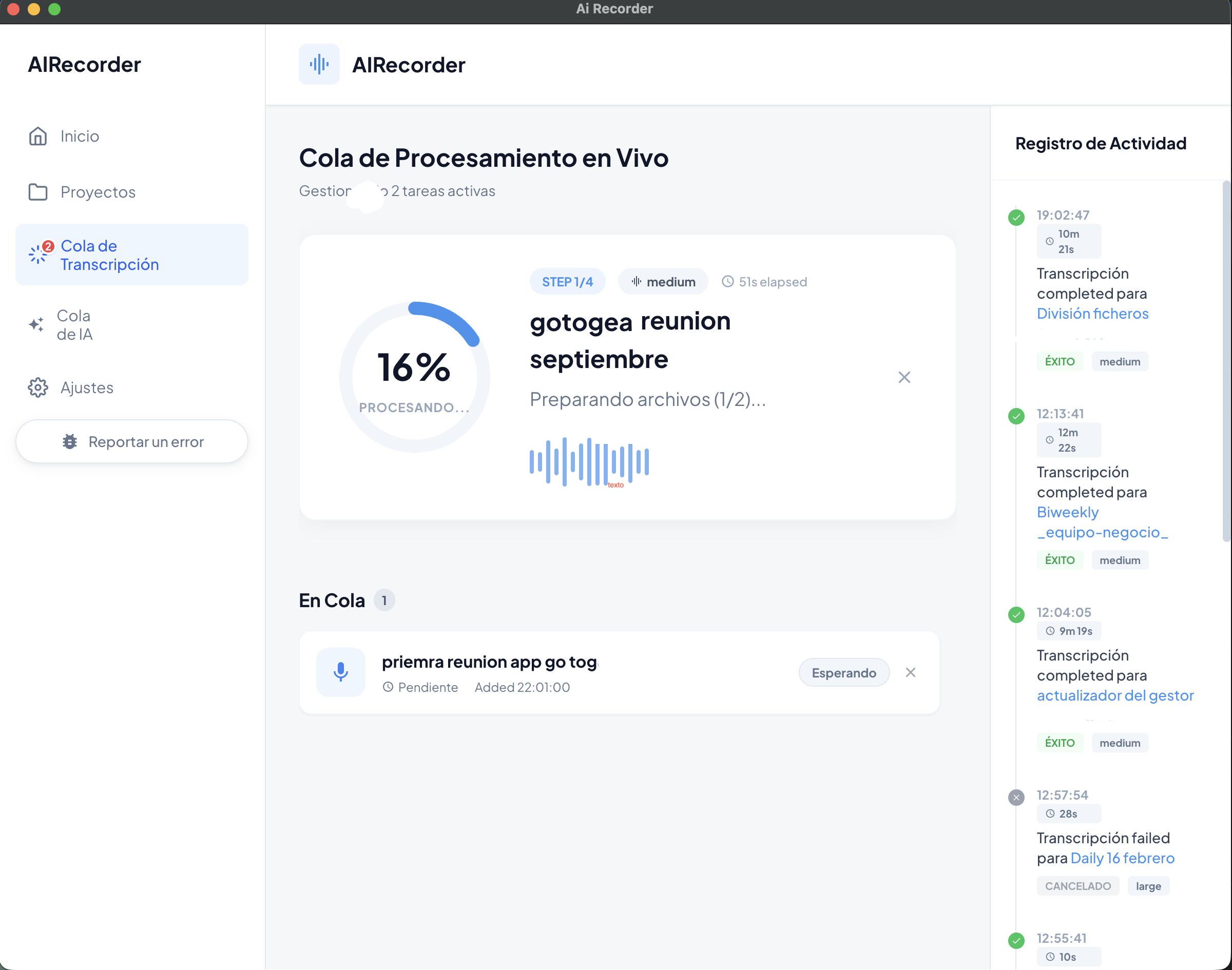 Vista de transcripción